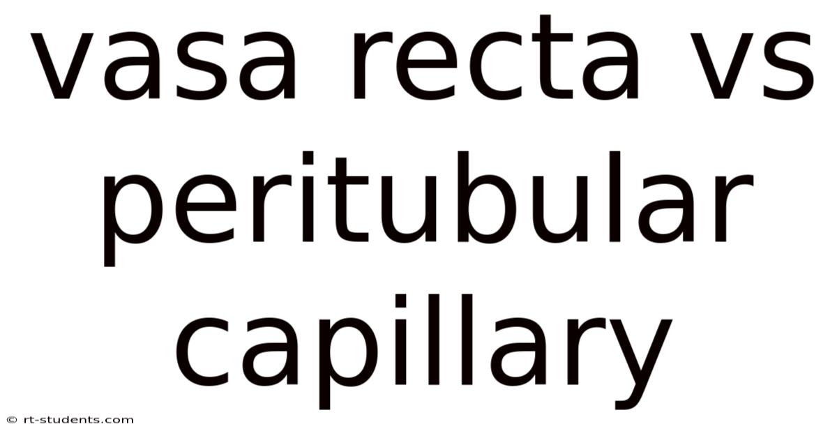 Vasa Recta Vs Peritubular Capillary