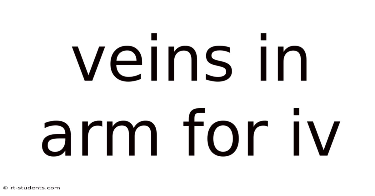 Veins In Arm For Iv