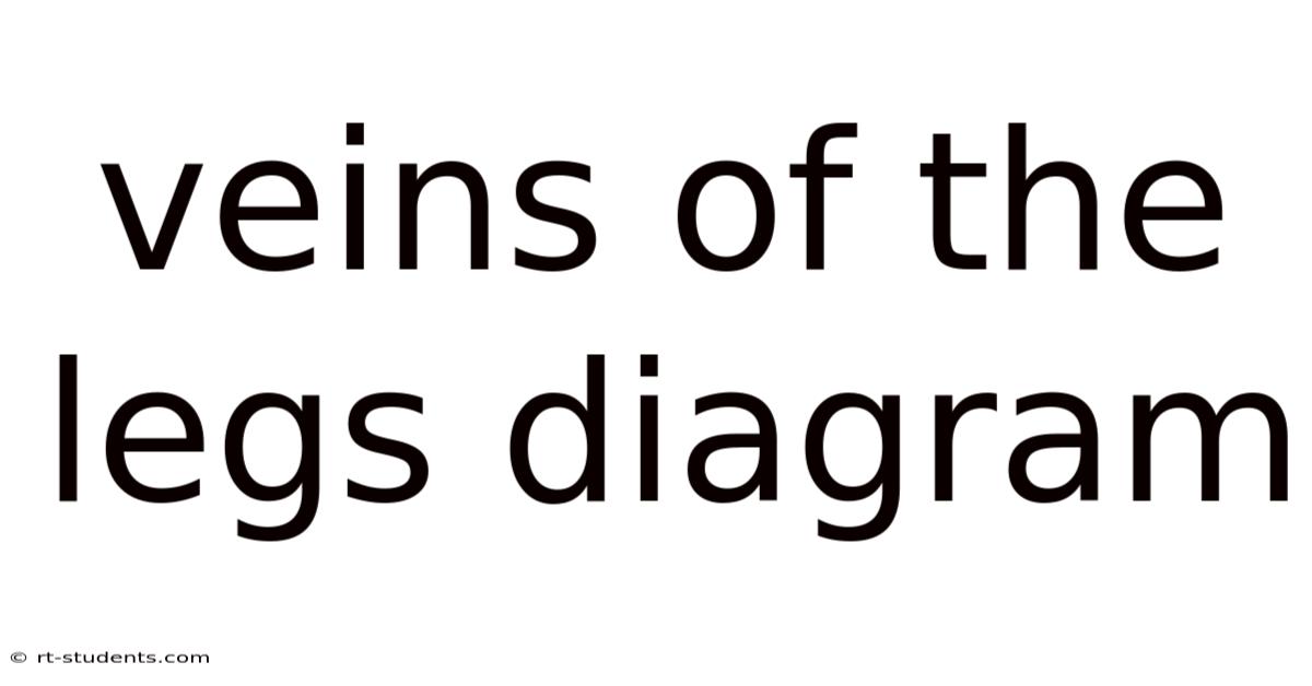 Veins Of The Legs Diagram