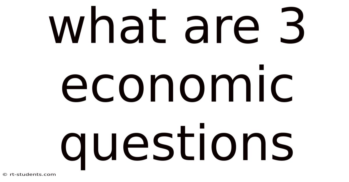 What Are 3 Economic Questions