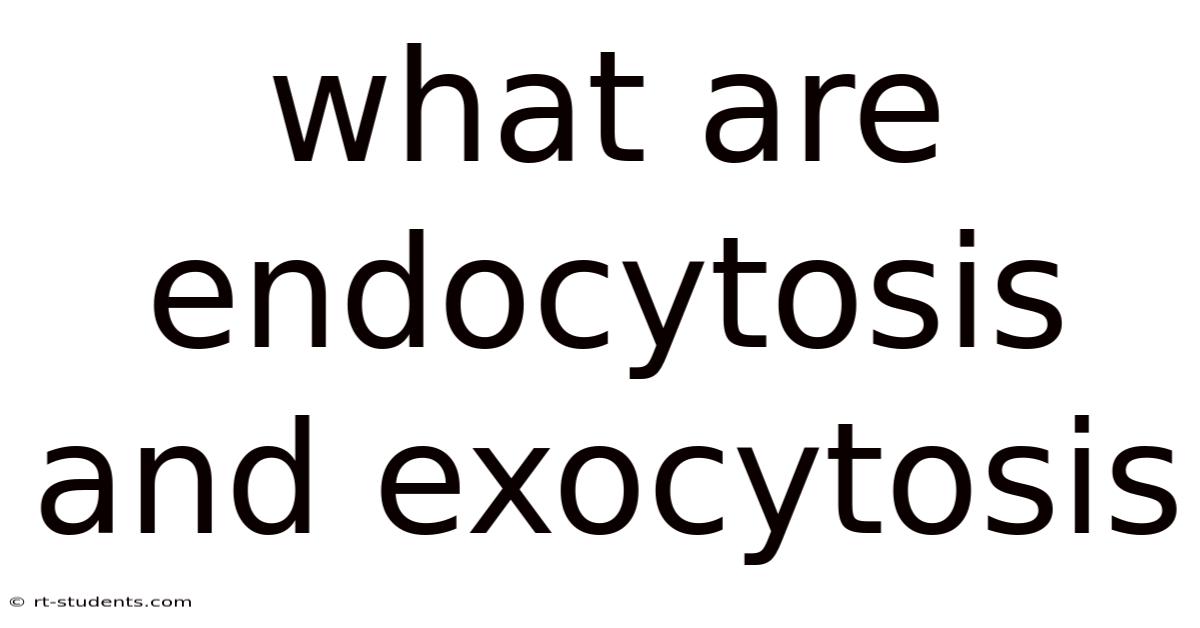 What Are Endocytosis And Exocytosis
