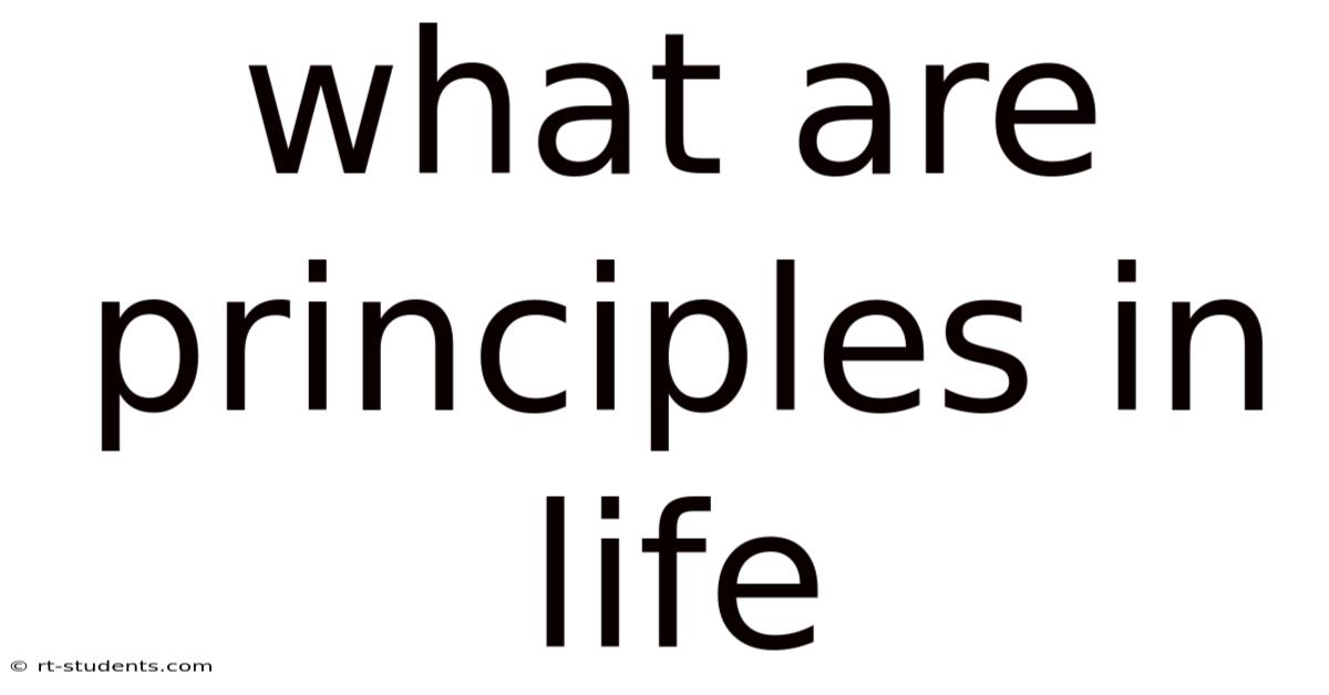 What Are Principles In Life