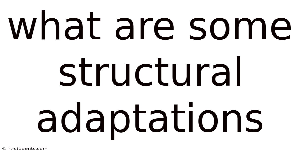 What Are Some Structural Adaptations