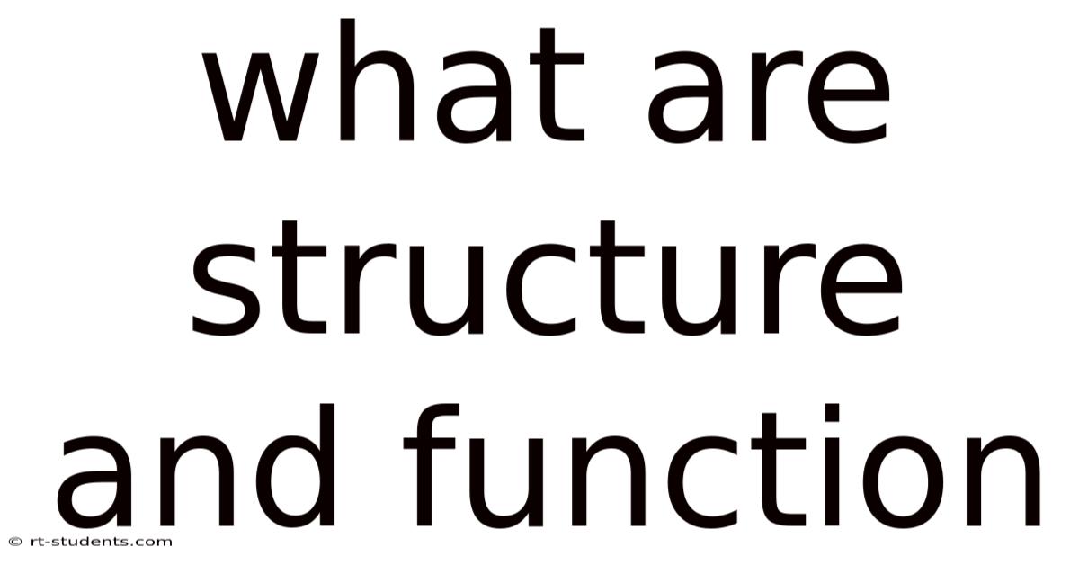 What Are Structure And Function