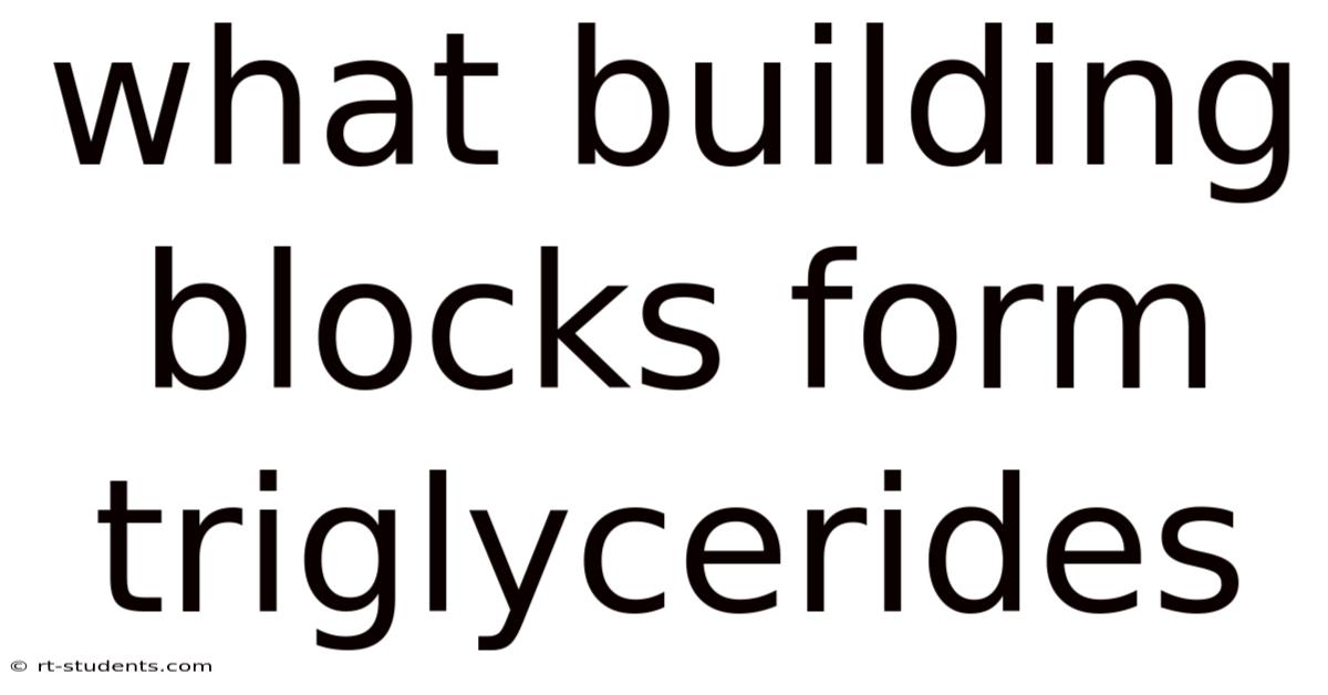 What Building Blocks Form Triglycerides