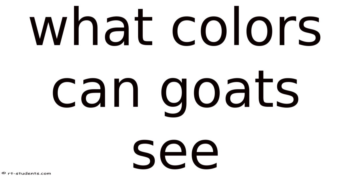 Goat Color Spectrum What Colors Can Goats See