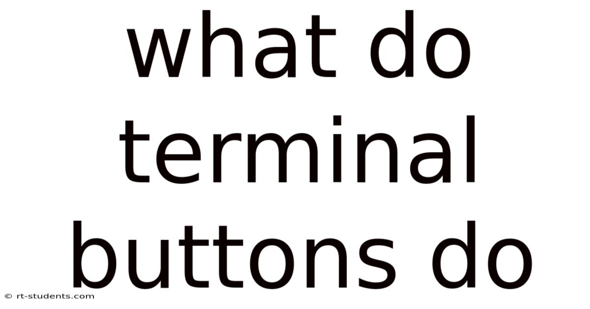 What Do Terminal Buttons Do