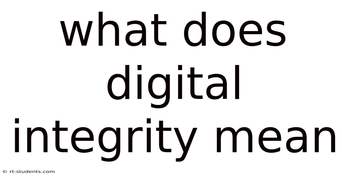 What Does Digital Integrity Mean