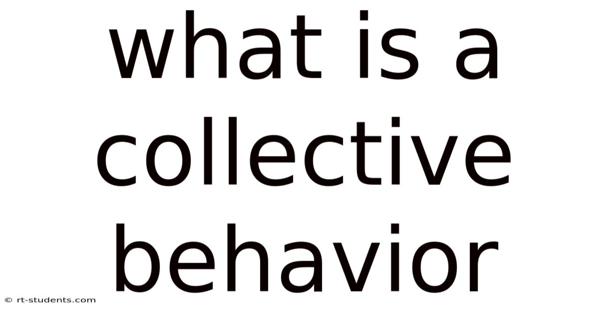 What Is A Collective Behavior