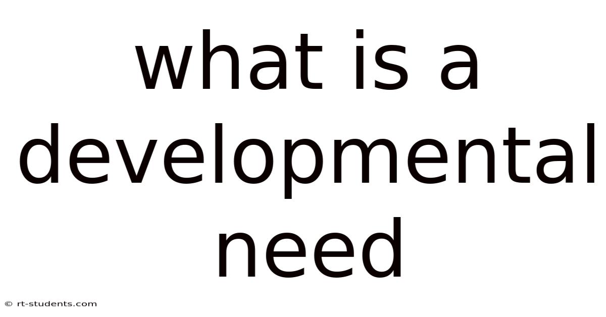 What Is A Developmental Need