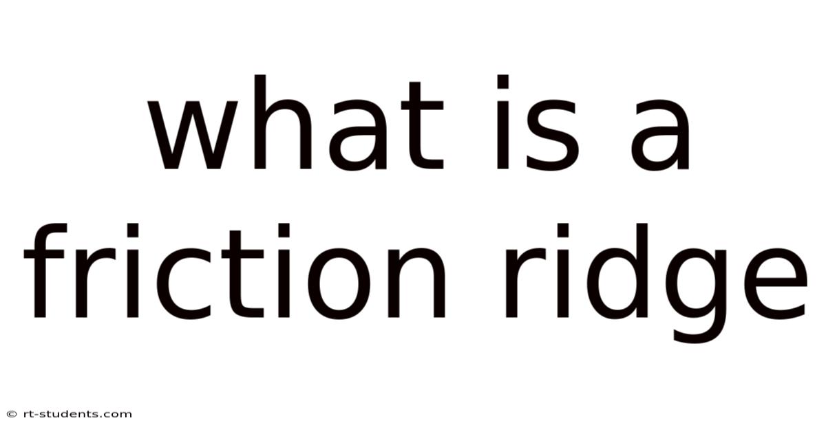 What Is A Friction Ridge