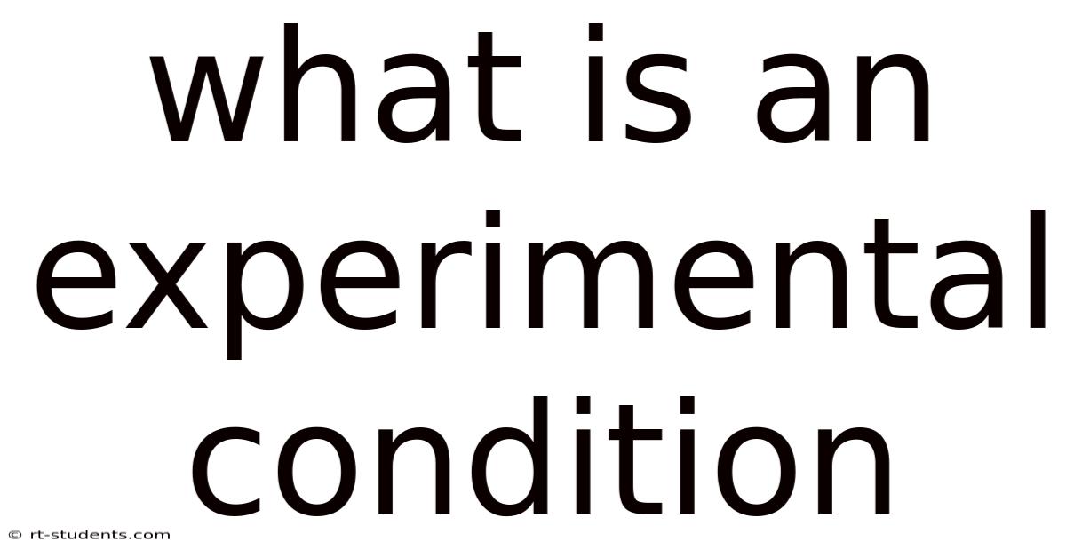 What Is An Experimental Condition