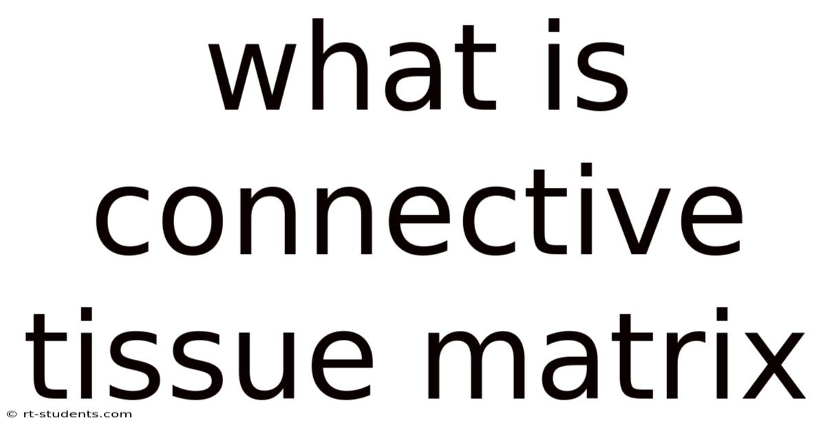 What Is Connective Tissue Matrix