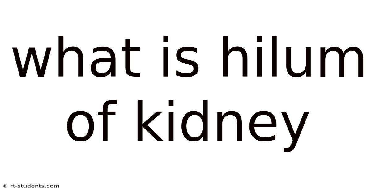 What Is Hilum Of Kidney