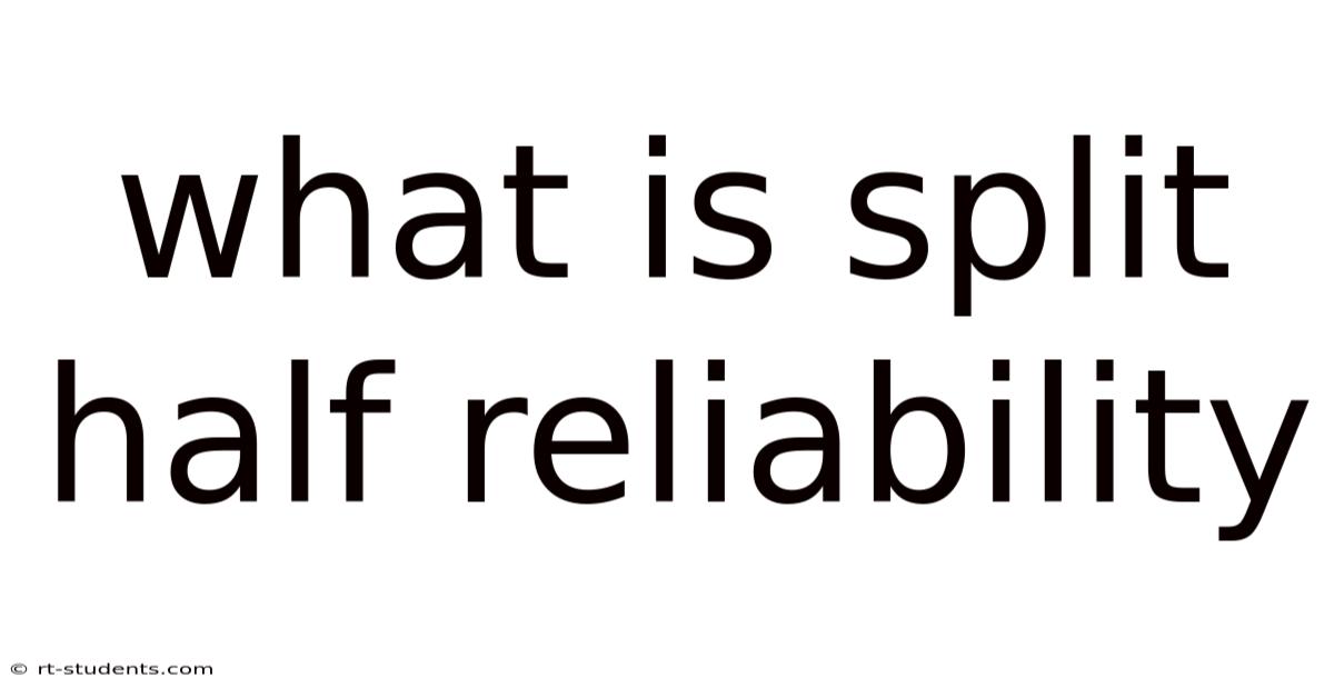 What Is Split Half Reliability
