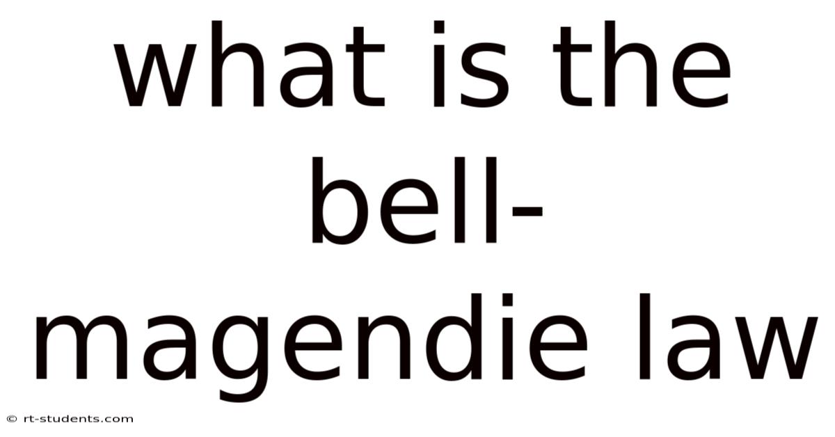 What Is The Bell-magendie Law