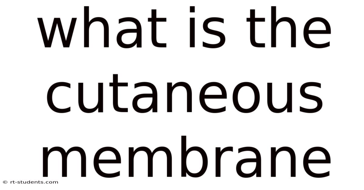 What Is The Cutaneous Membrane