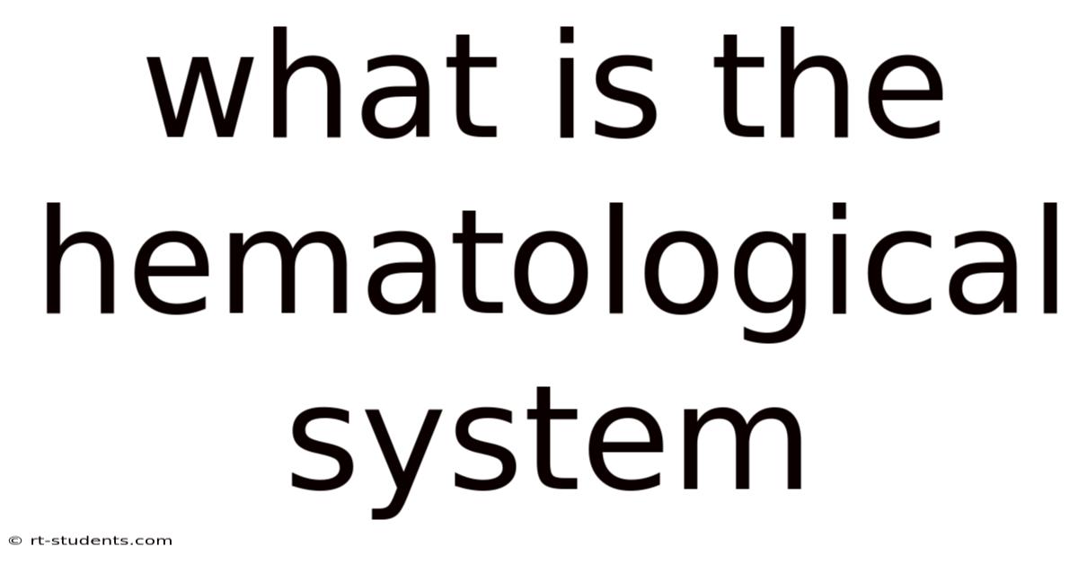 What Is The Hematological System