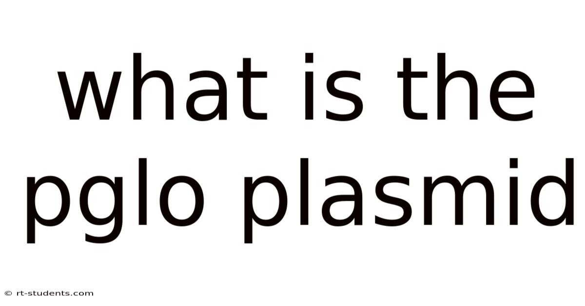 What Is The Pglo Plasmid