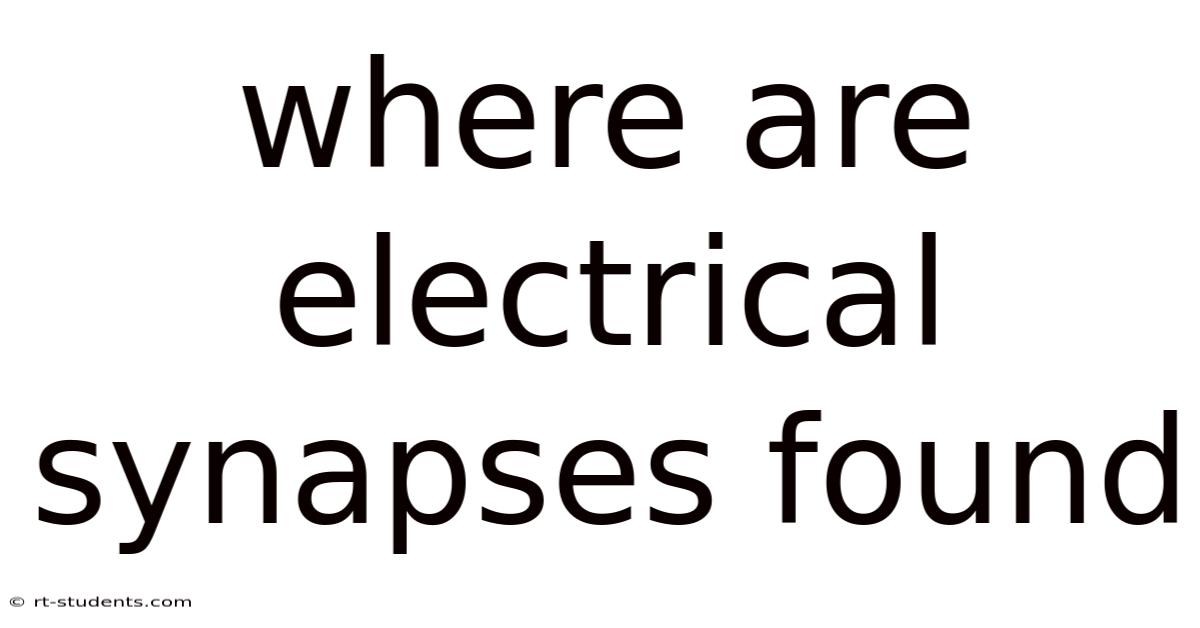 Where Are Electrical Synapses Found