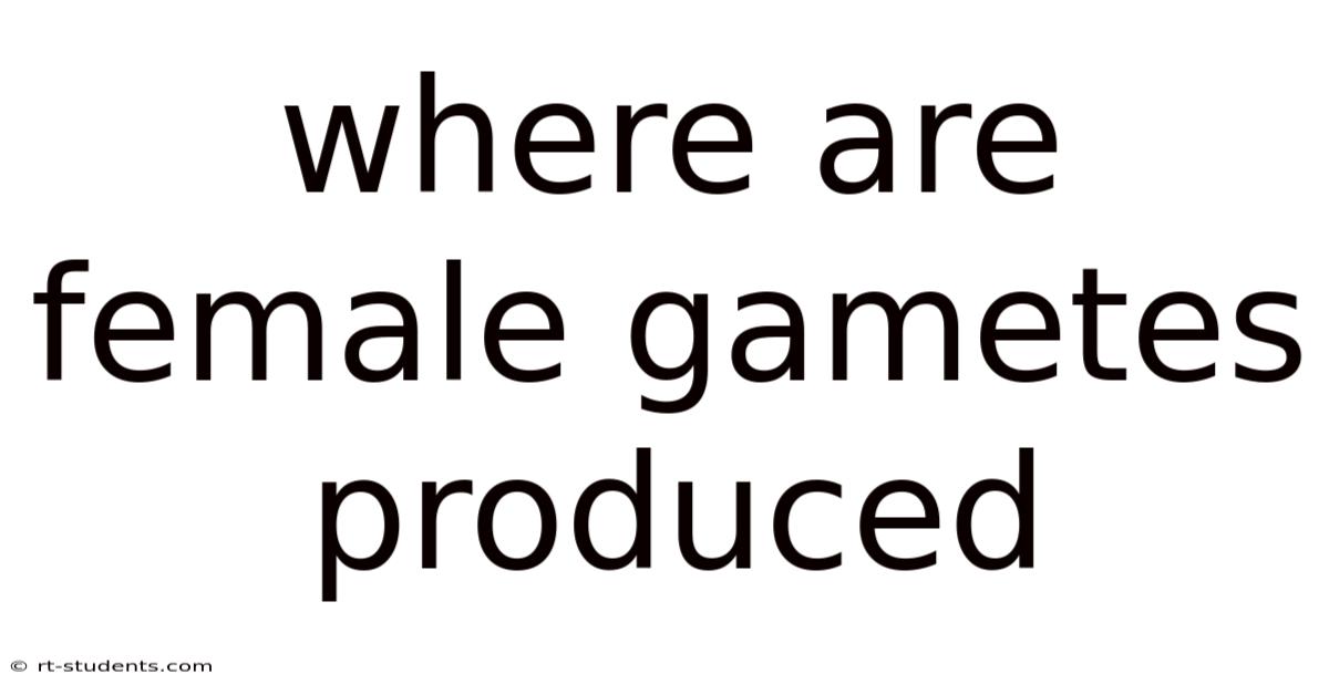 Where Are Female Gametes Produced