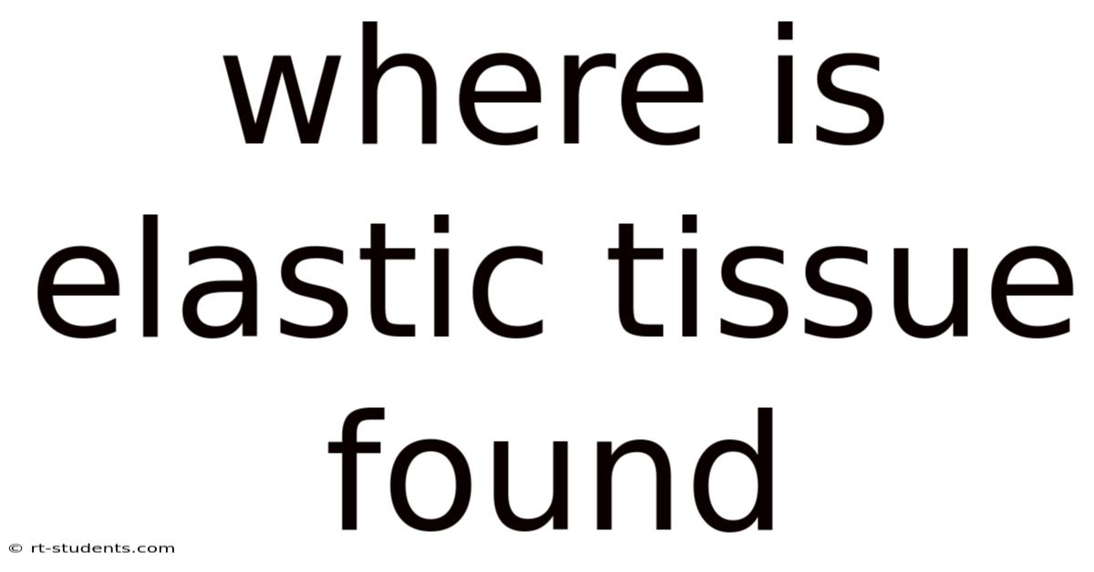 Where Is Elastic Tissue Found