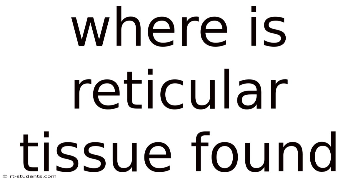 Where Is Reticular Tissue Found