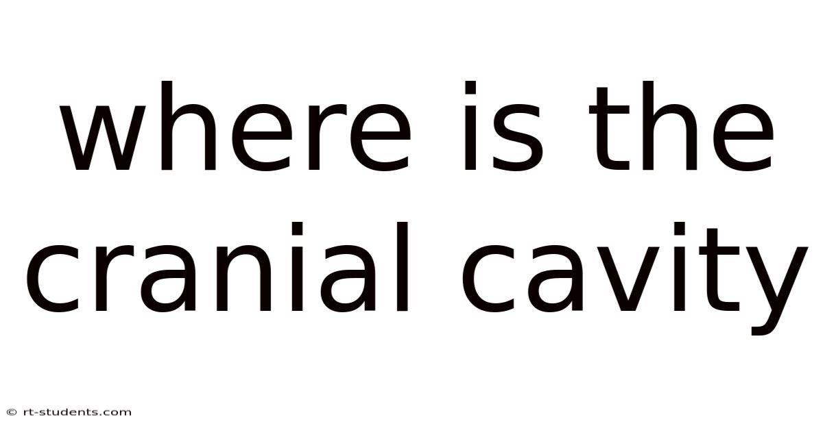 Where Is The Cranial Cavity