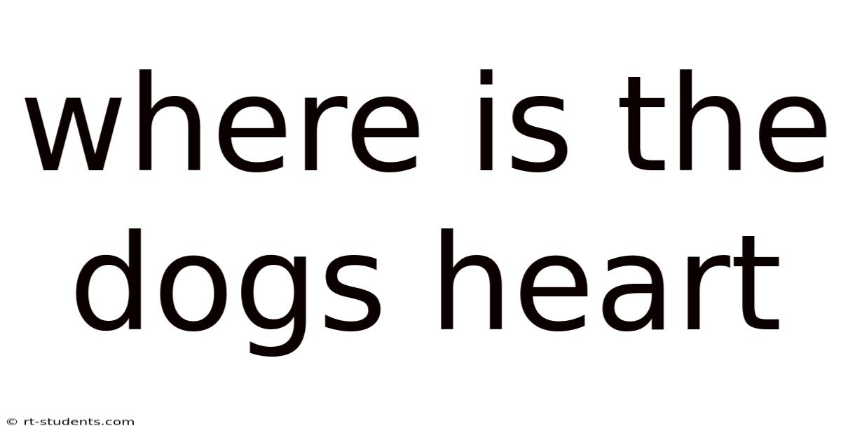 Where Is The Dogs Heart