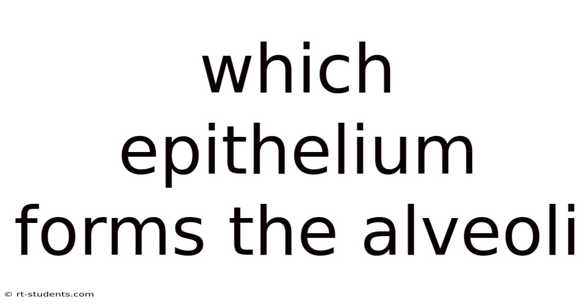 Which Epithelium Forms The Alveoli