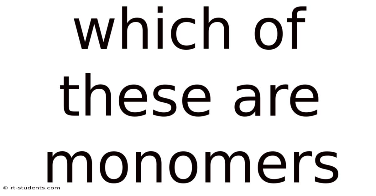 Which Of These Are Monomers