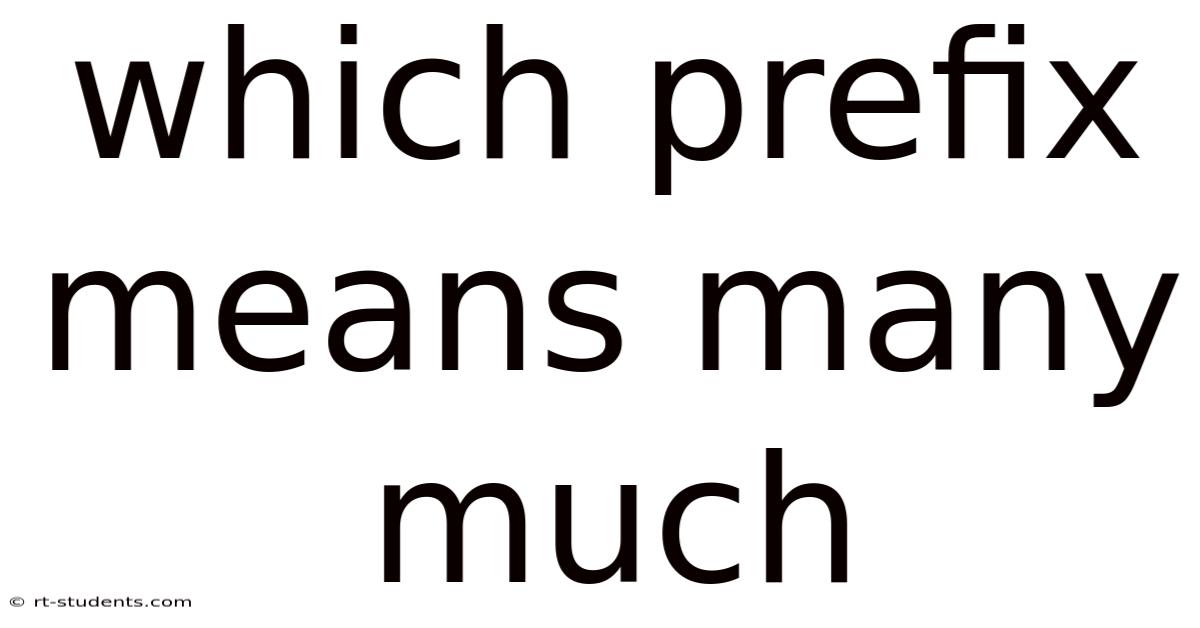 Which Prefix Means Many Much