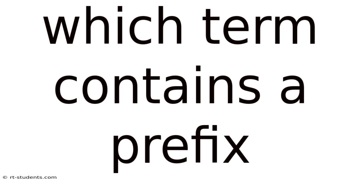 Which Term Contains A Prefix