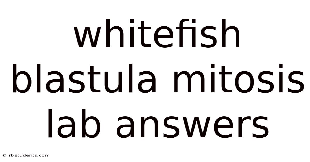 Whitefish Blastula Mitosis Lab Answers