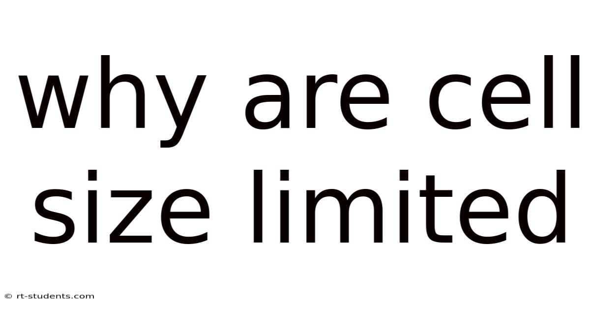 Why Are Cell Size Limited