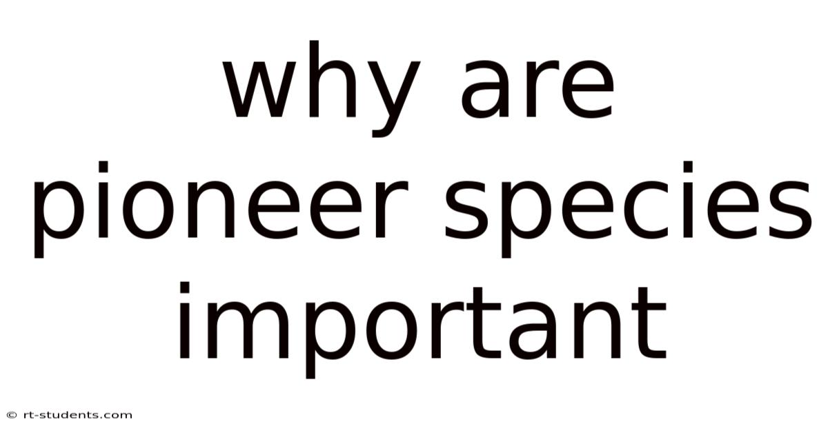Why Are Pioneer Species Important