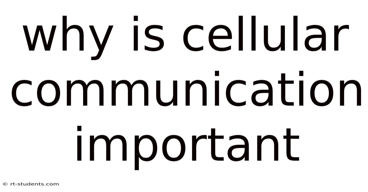 Why Is Cellular Communication Important
