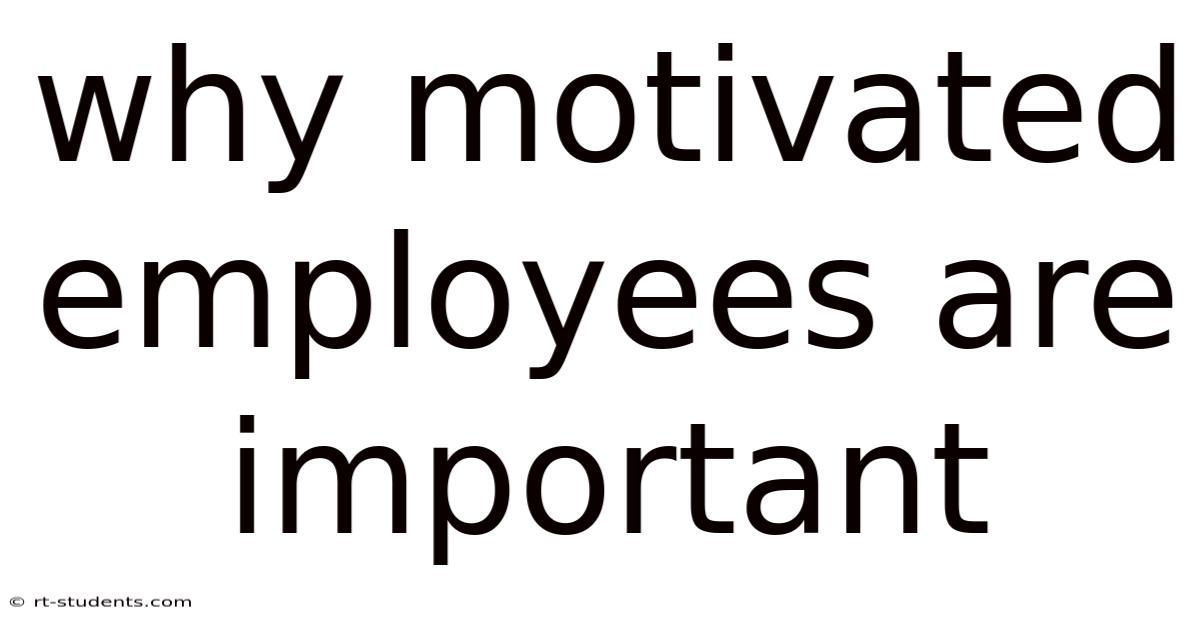 Why Motivated Employees Are Important