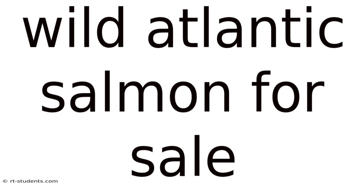 Wild Atlantic Salmon For Sale