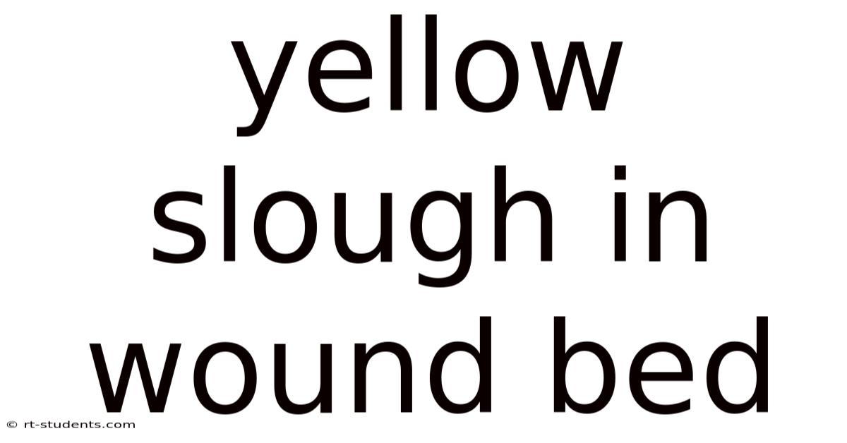 Yellow Slough In Wound Bed